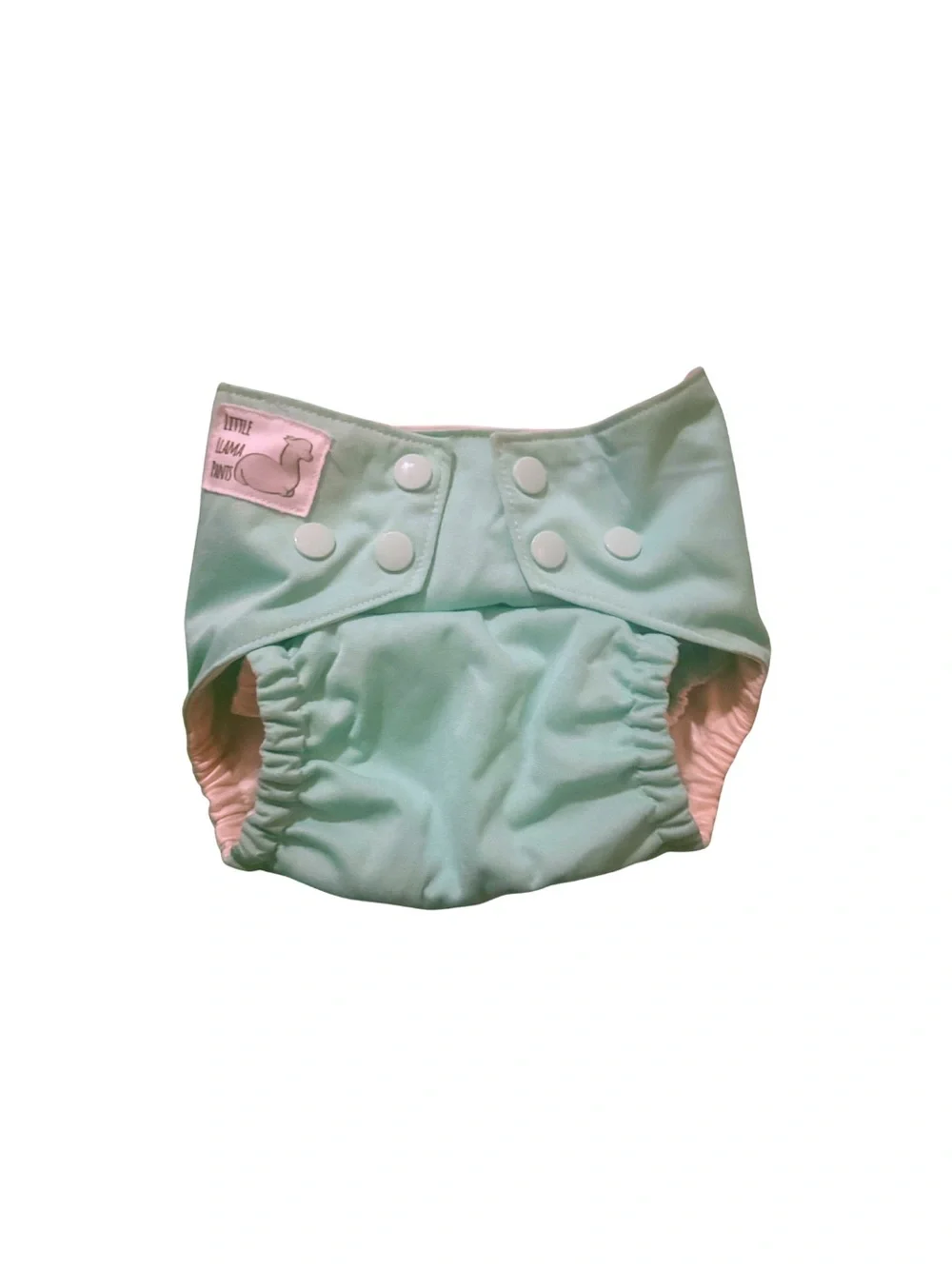🐾 NWOT Embroidered Corgi Light Green Teal Diaper Cover Handmade OS